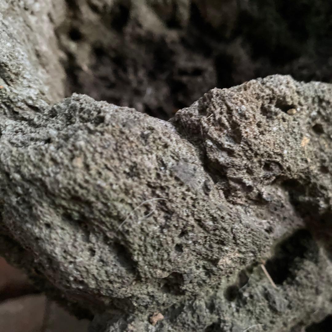 植木鉢　庭石　ロックガーデン　岩　溶岩石　オブジェ