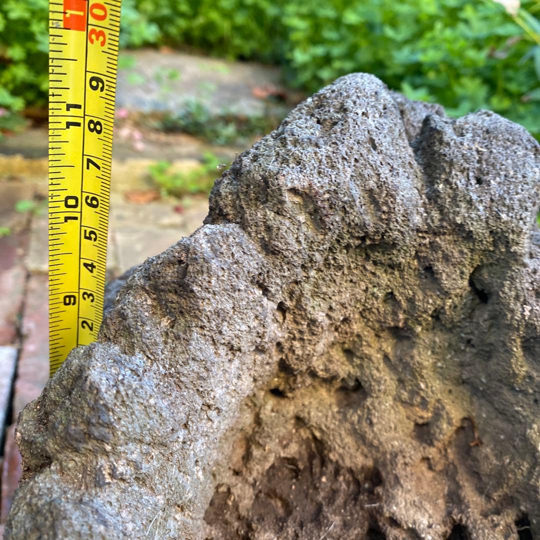植木鉢　庭石　ロックガーデン　岩　溶岩石　オブジェ