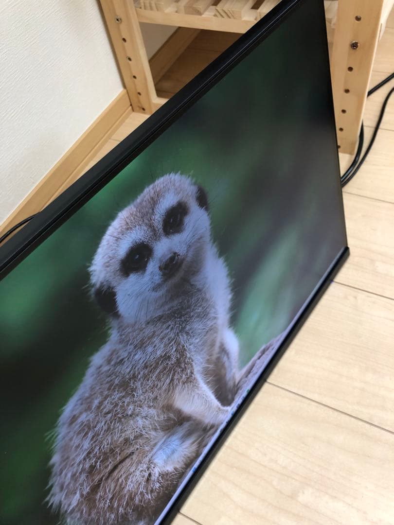 IO-DATA 高解像度LEDディスプレイLCD-MQ241XDB ＋壁掛アーム