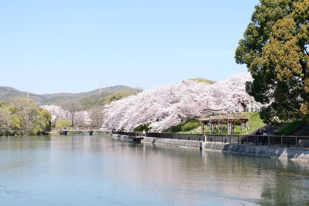 フ*ー様 超美品 FUJIFILM X-S10 ダブルズームキット 512GB