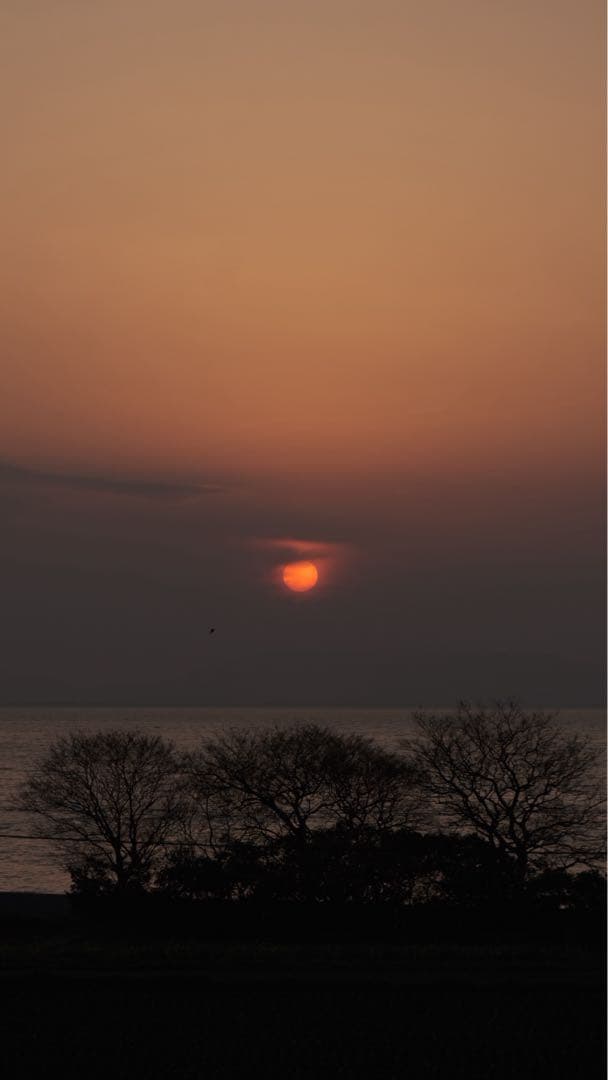 フ*ー様 超美品 FUJIFILM X-S10 ダブルズームキット 512GB