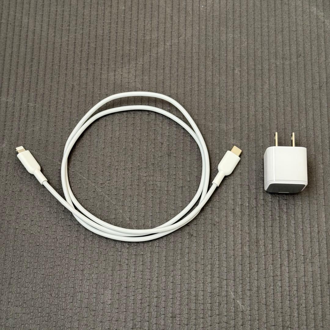 Apple iPhone SE 第三世代 ケース付き Anker充電器付き