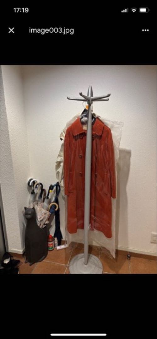 直接引取■センカク ガジュマル/尖閣/キジムナー/観葉植物/130cm■曲り入