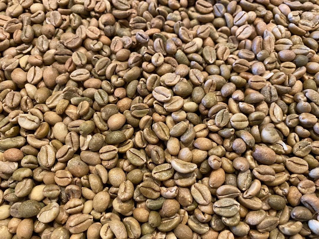 ウガンダ チャガラニ リベリカ種（エクセルサ種） ナチュラル 生豆 5kg