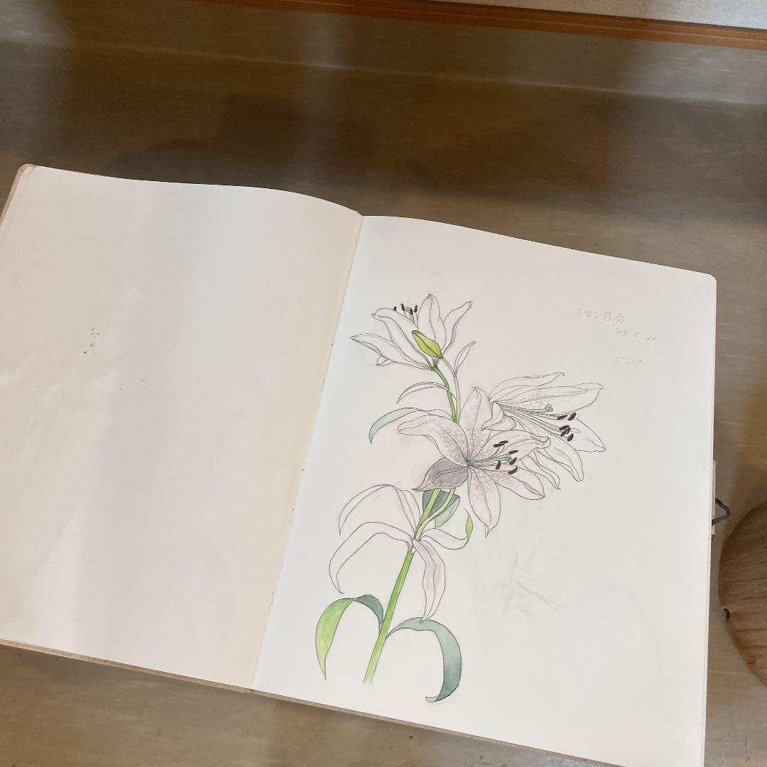 蔵石　河村大蔵　スケッチブック