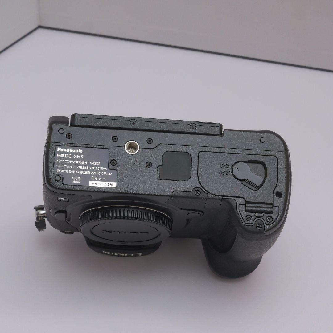 lumix gh5　v-logアップデート済み　ストロボセット