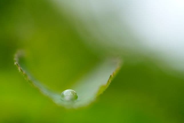 TAMRON SP AF90mm F/2.8 Di MACRO 1:1タムキュー