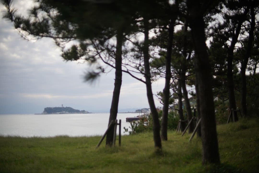 【動作確認済】Nikon NIKKOR-S.C 50mm f1.4 純正付属品付