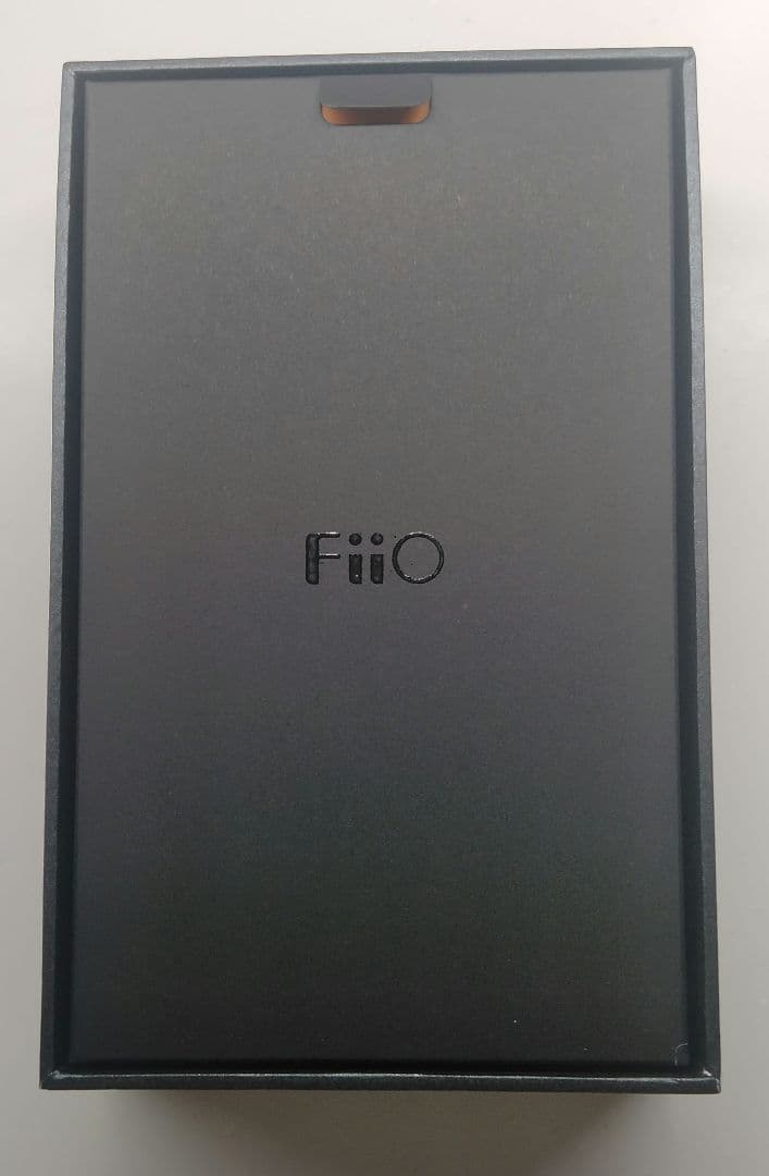 【極美品】FiiO M11S DAP 純正PUレザーケース mSD 256GB付