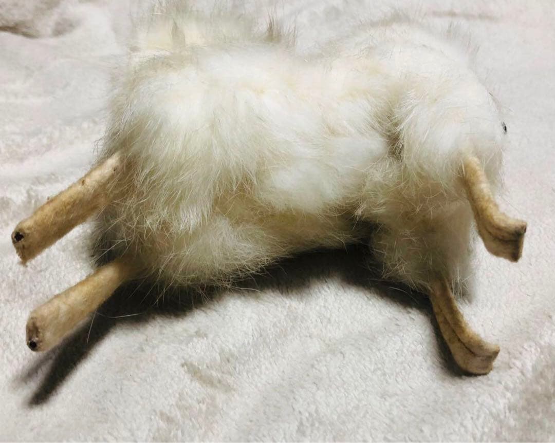 昭和レトロ　犬　ラビットファー　リアファー スピッツ　ポメラニアン　ぬいぐるみ