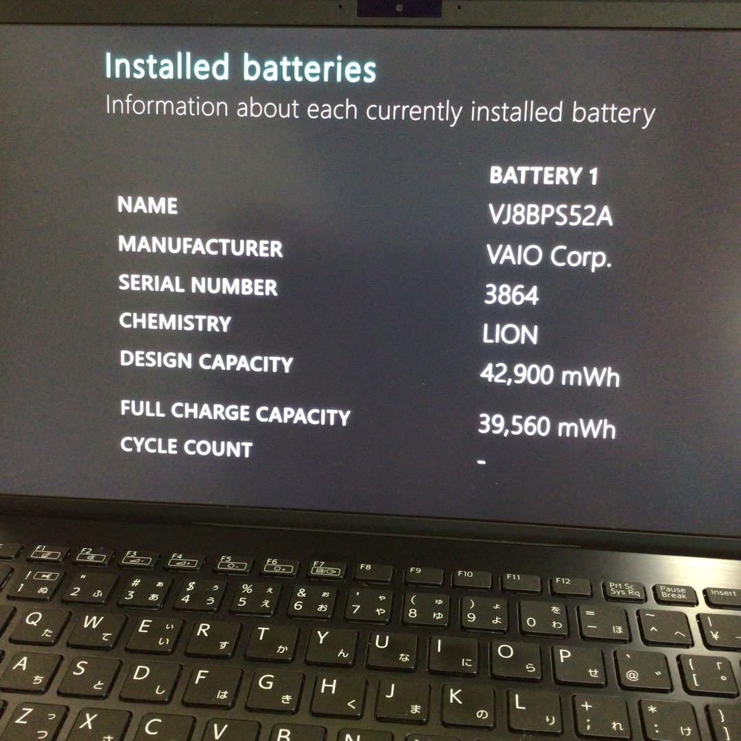 VAIO Pro 第10世代 SSD256GB(NVMe) Windows11