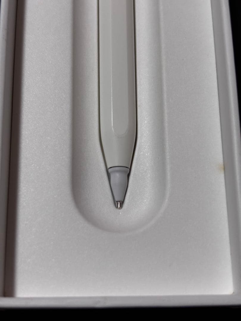 iPad Pro 第1世代 11インチ 256GB + Apple pencil