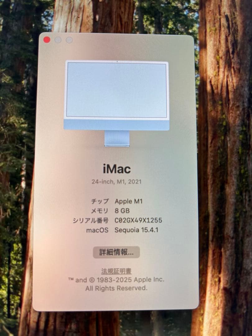 imac 24インチ　2021モデル　ブルー M1
