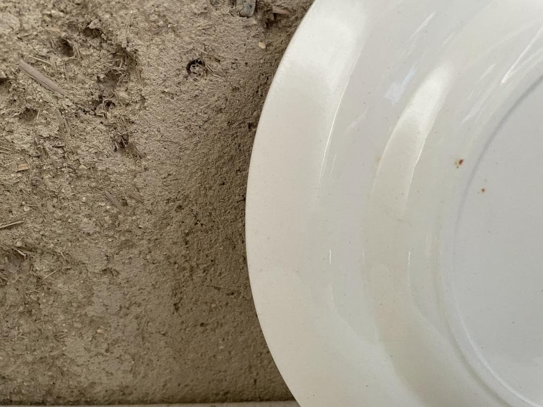 美品 エミールブルジョワ　平皿N-938/フランスアンティーク/ブロカント