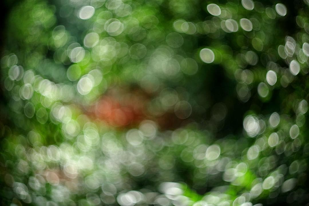 33【希少】初期型　Helios1950年製造　ヘリオス44　アダプター付