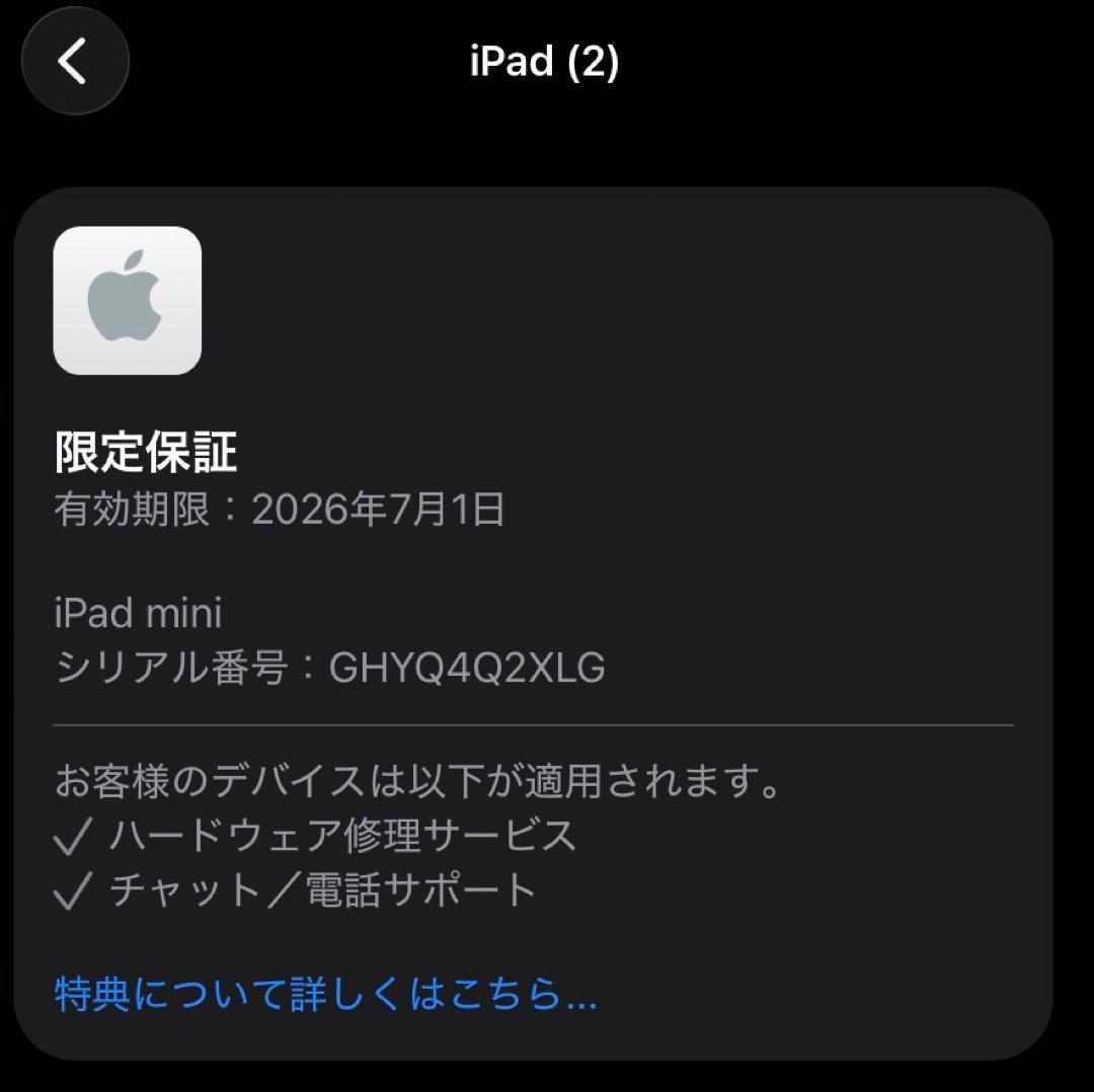 G*a様 【美品】A17 Pro iPad mini 第7世代 256GB Wi