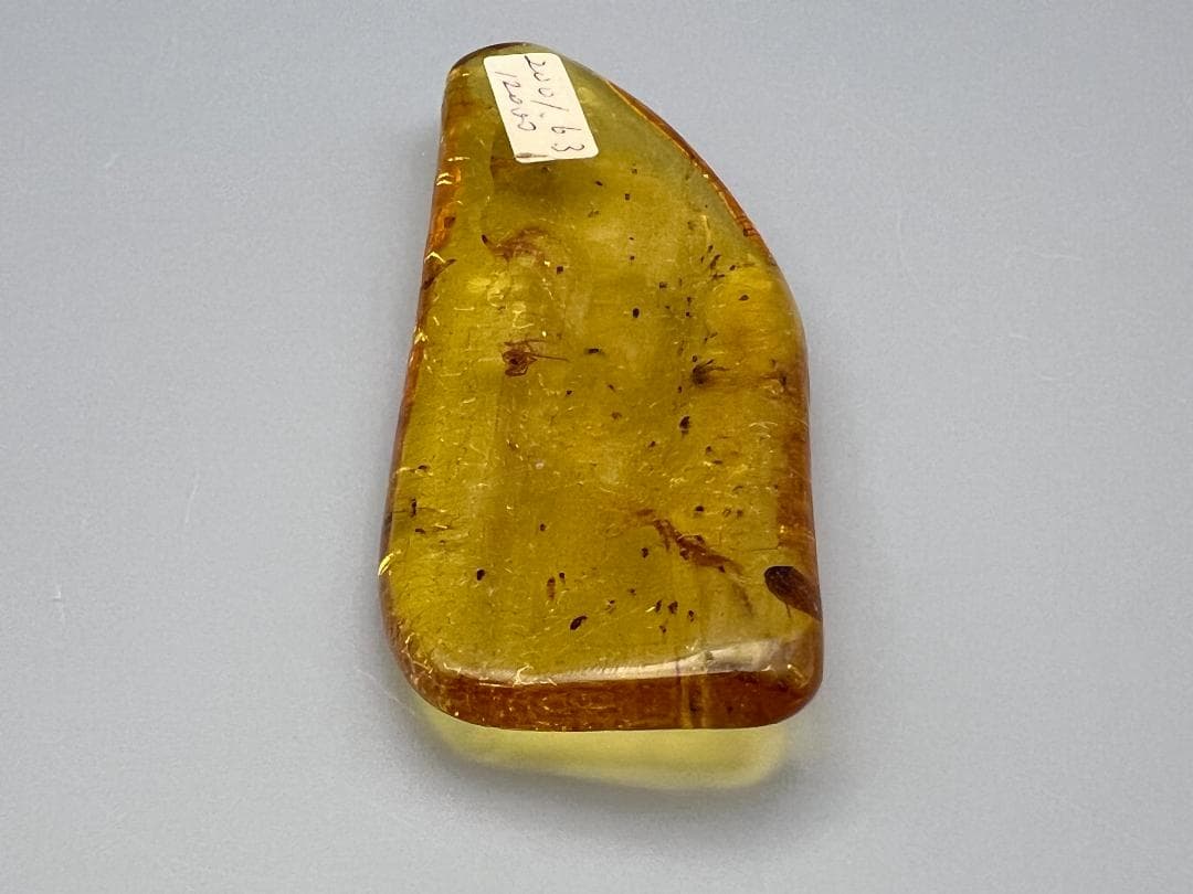 虫入り琥珀　蜘蛛　蚊　大量小さい虫内包　バルティックアンバー　バルト海沿岸地域産