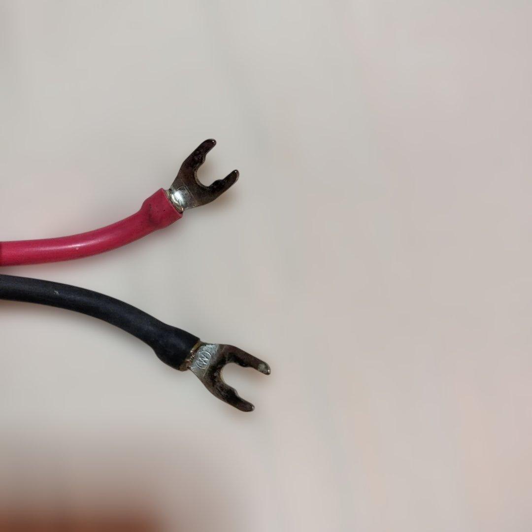 NASPEC WIREWORLD Equinox EQS5²スピーカーケーブル