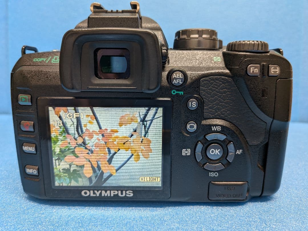【完動美品】OLYMPUS E-510 デジタル一眼＋標準レンズ