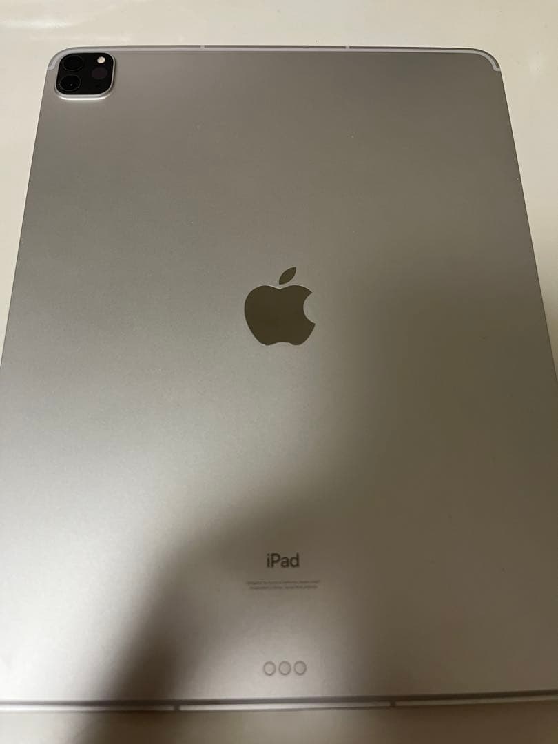 Apple iPad Pro 256GB 箱無し