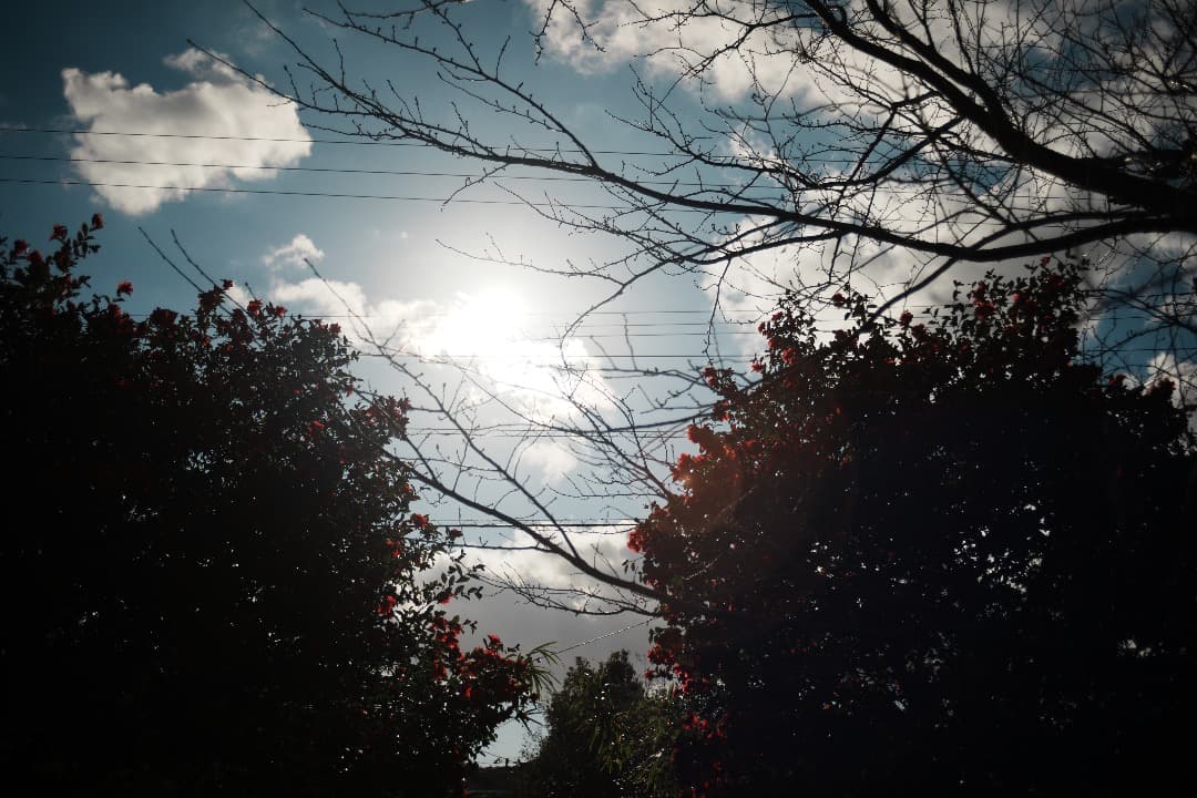 【整備＆テスト】オリンパス Zuiko auto-w 35mm F2.8