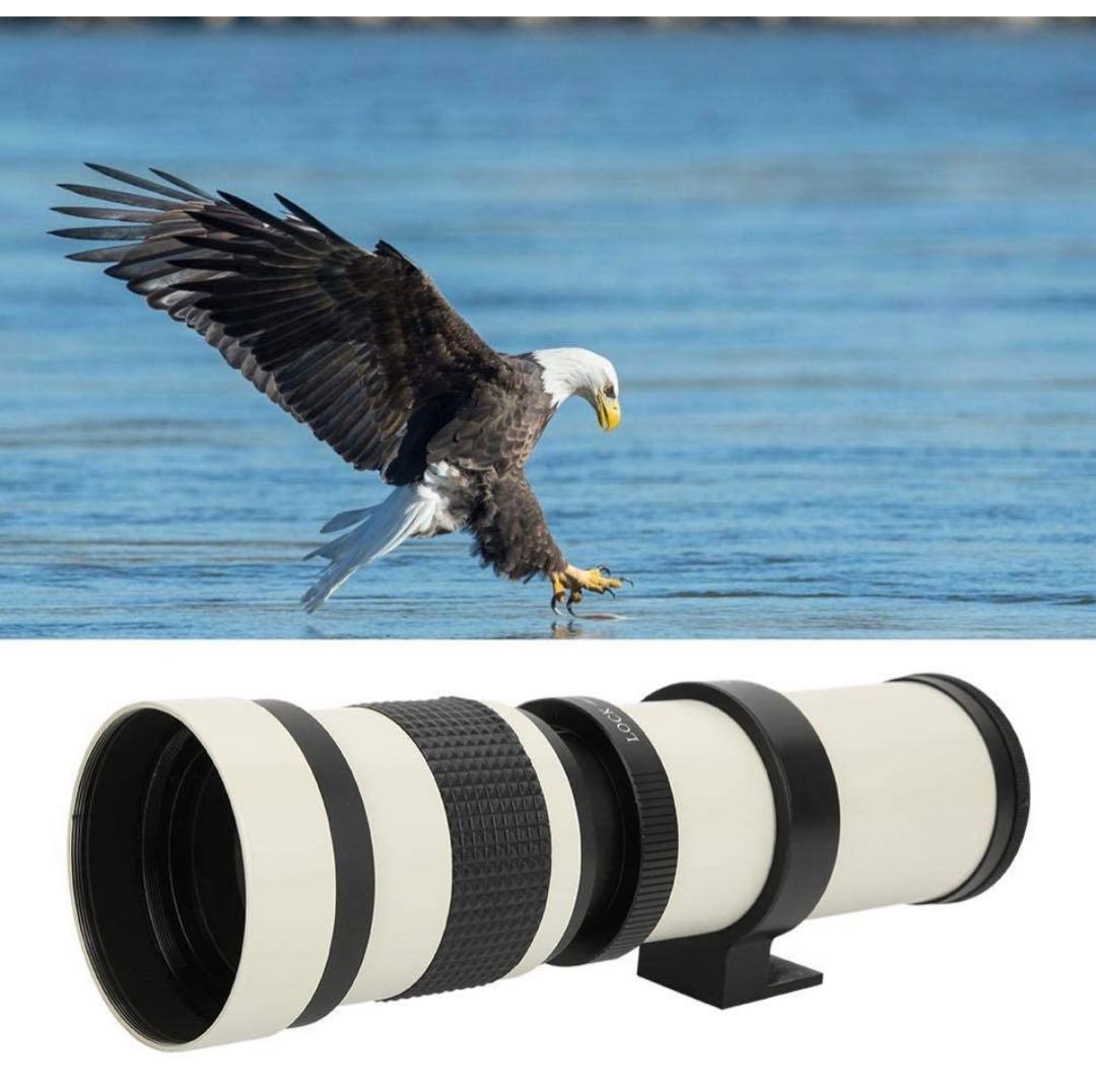 期間限定！NikonZシリーズ対応！便利なズームレンズ！ママさん初心者OK！綺麗