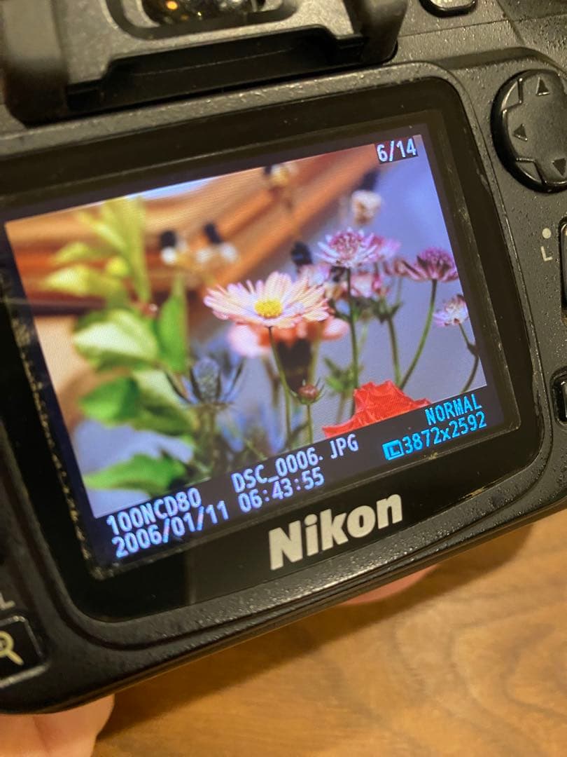 Nikon AF NIKKOR 50mm f/1.8 単焦点レンズ　比較的綺麗