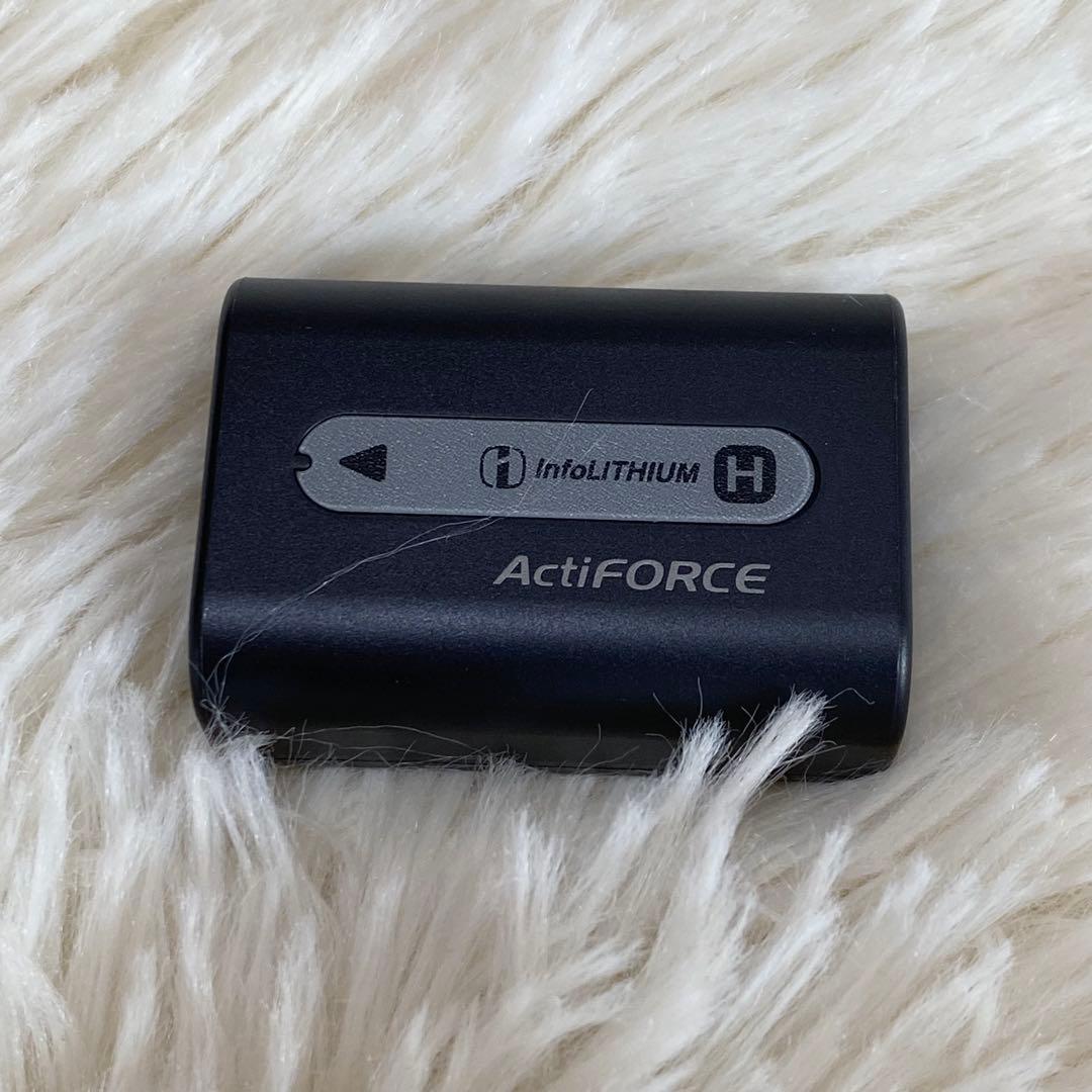 極美品【動作確認済み】SONY Handycam ハンディカム HDR-TG1