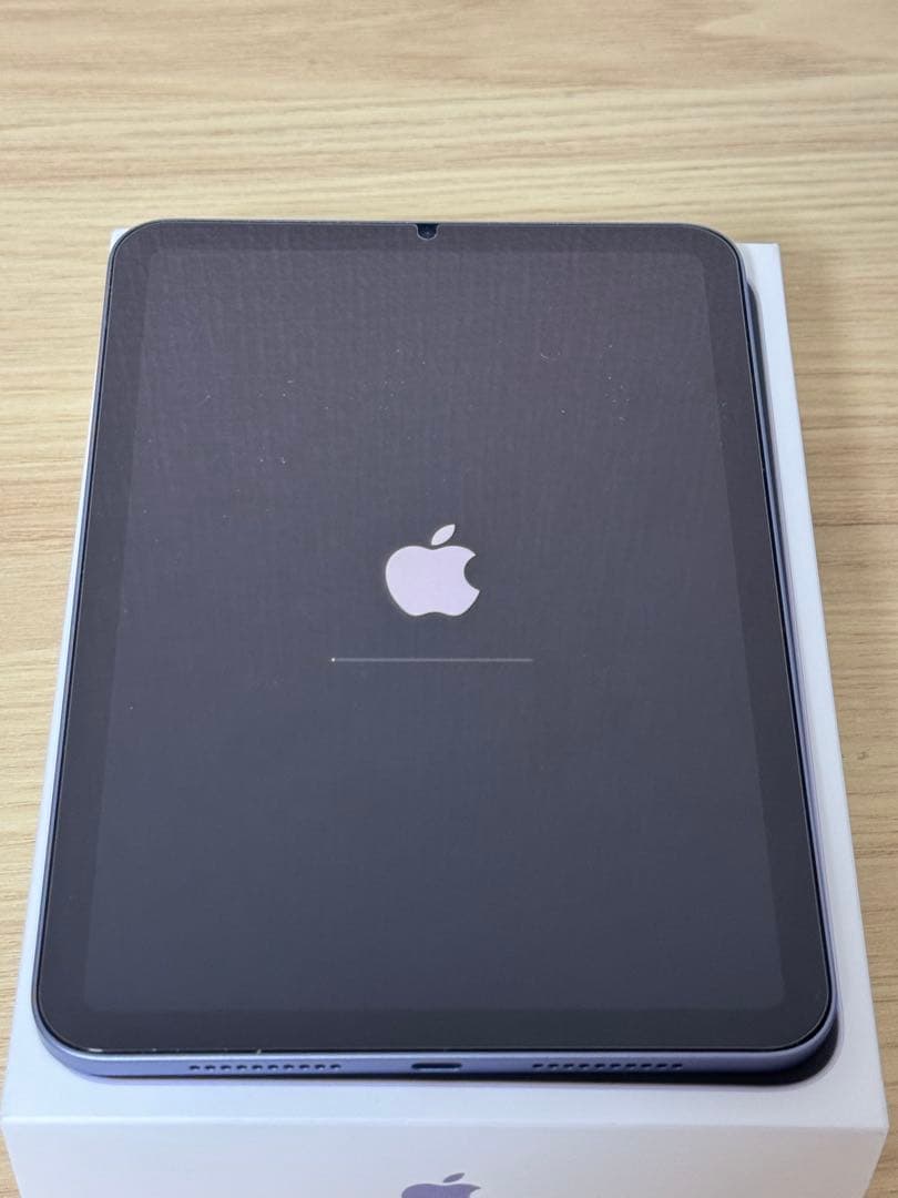 【破格】Apple iPad mini パープル 本体 付属品 256GB