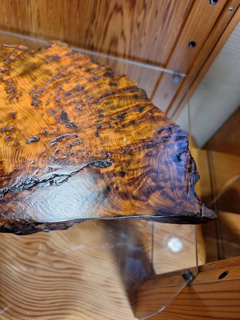 至宝　世界遺産　屋久杉　泡瘤台座　宝玉