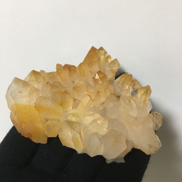 ゴールデンヒーラー アーカンソー産 100g