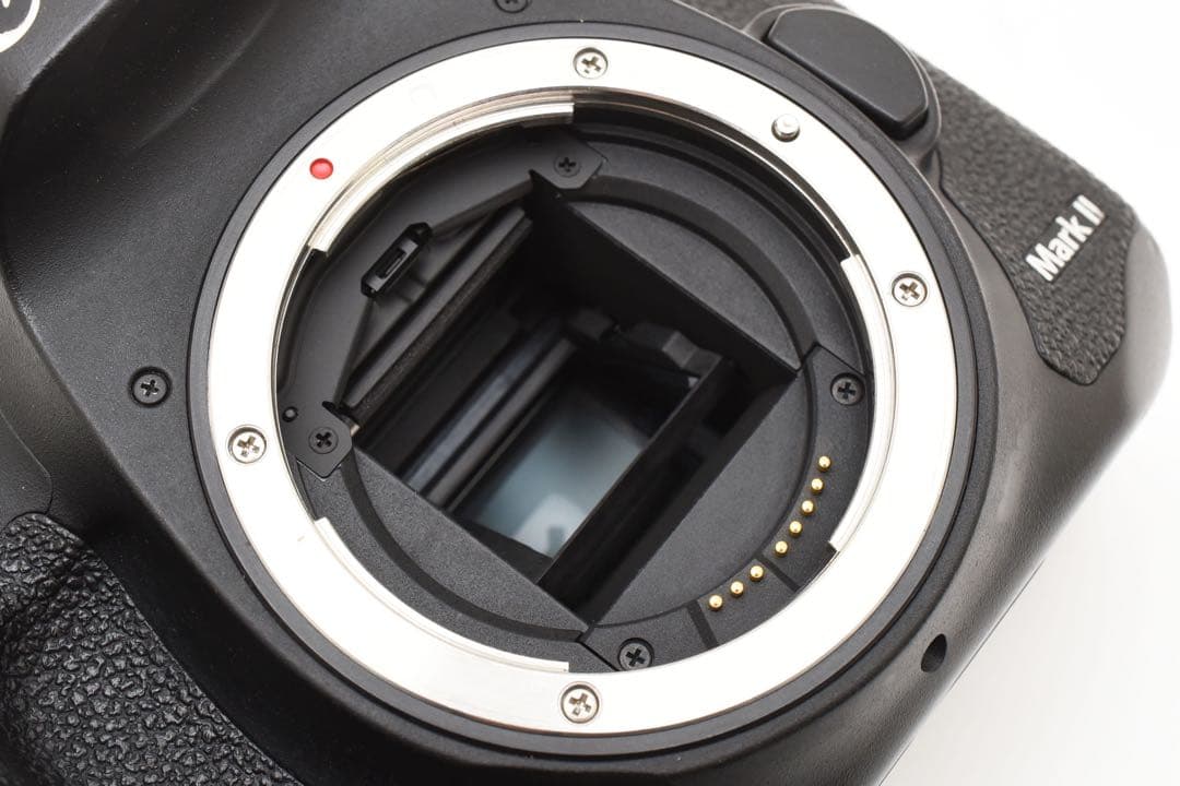 Canon EOS 7D MarkⅡ 標準&望遠ダブルレンズセット