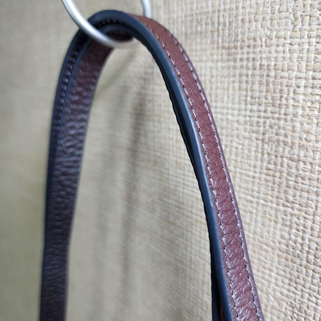 【美品】HEALTHY BACK BAG レザー バッグレット メタリック