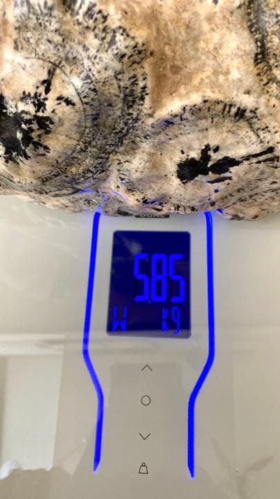 骨董品☆貴重！ナポレオン原石鑑賞石(また時計石)台座付