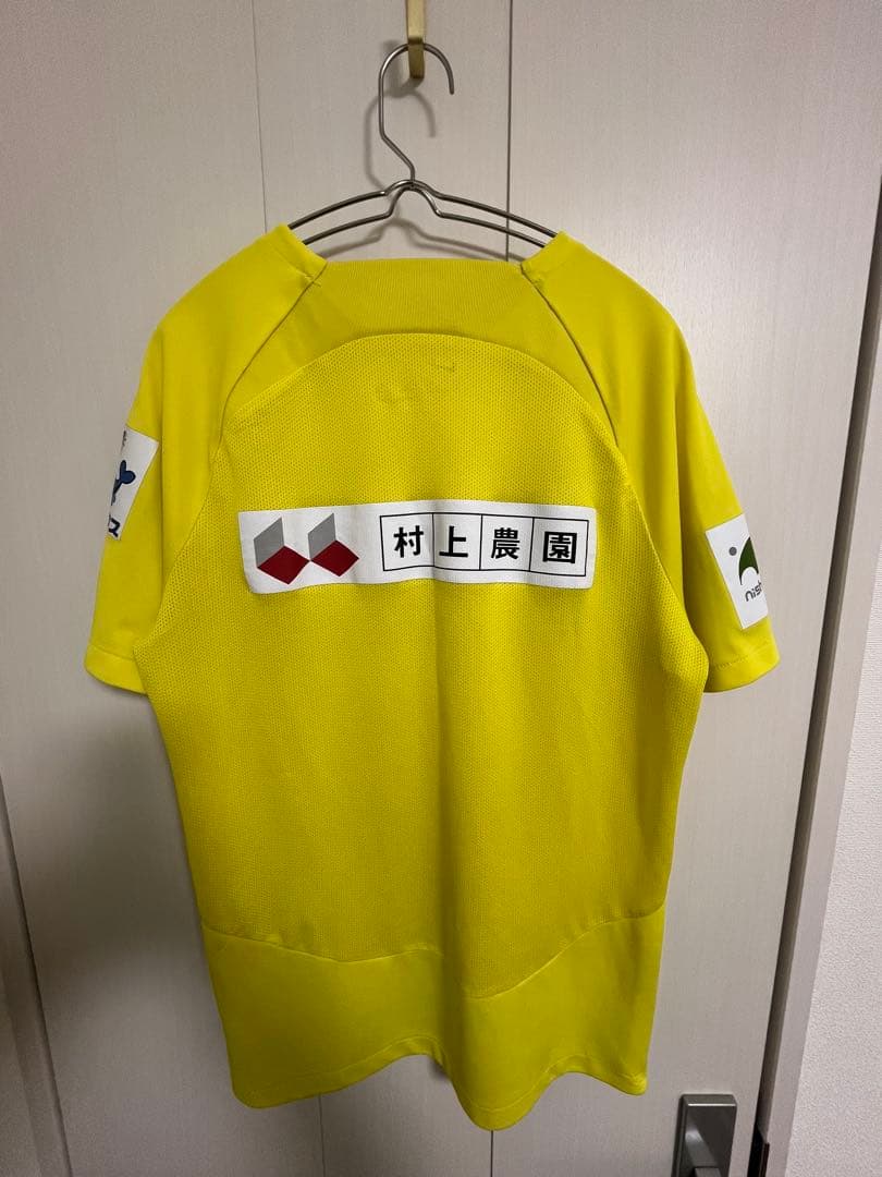 サンフレッチェ広島