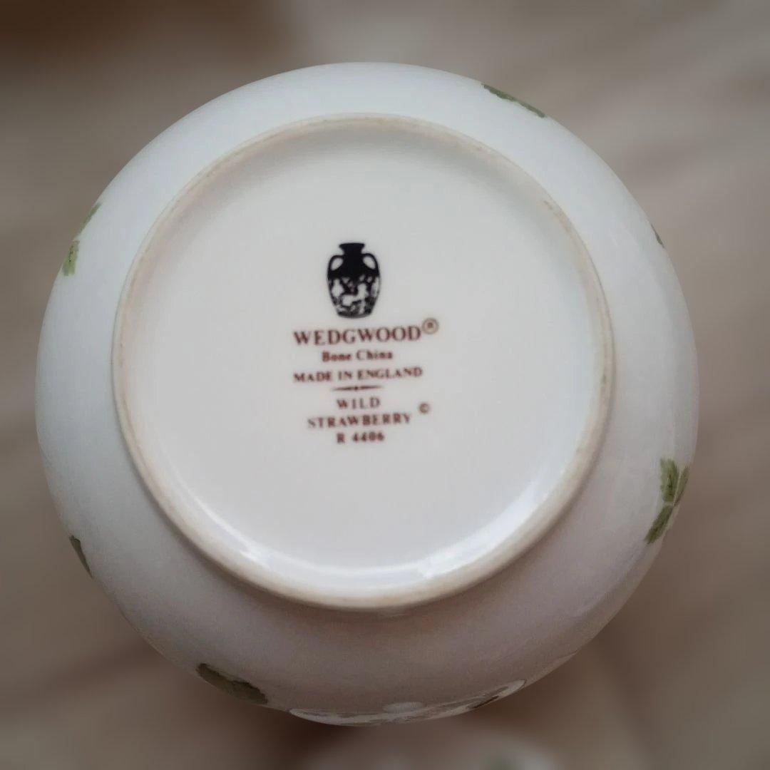  ワイルドストロベリー　セット