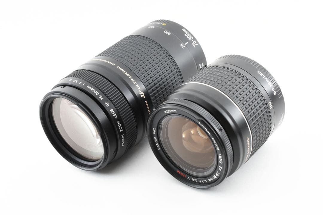 デジタル一眼レフカメラcanon kiss x 9i標準&望遠ダブルレンズセット