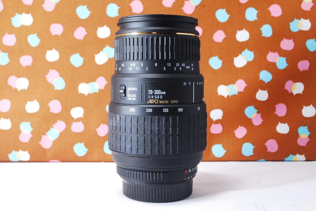 ✨望遠レンズ付き✨美品✨Nikon D200 レンズセット