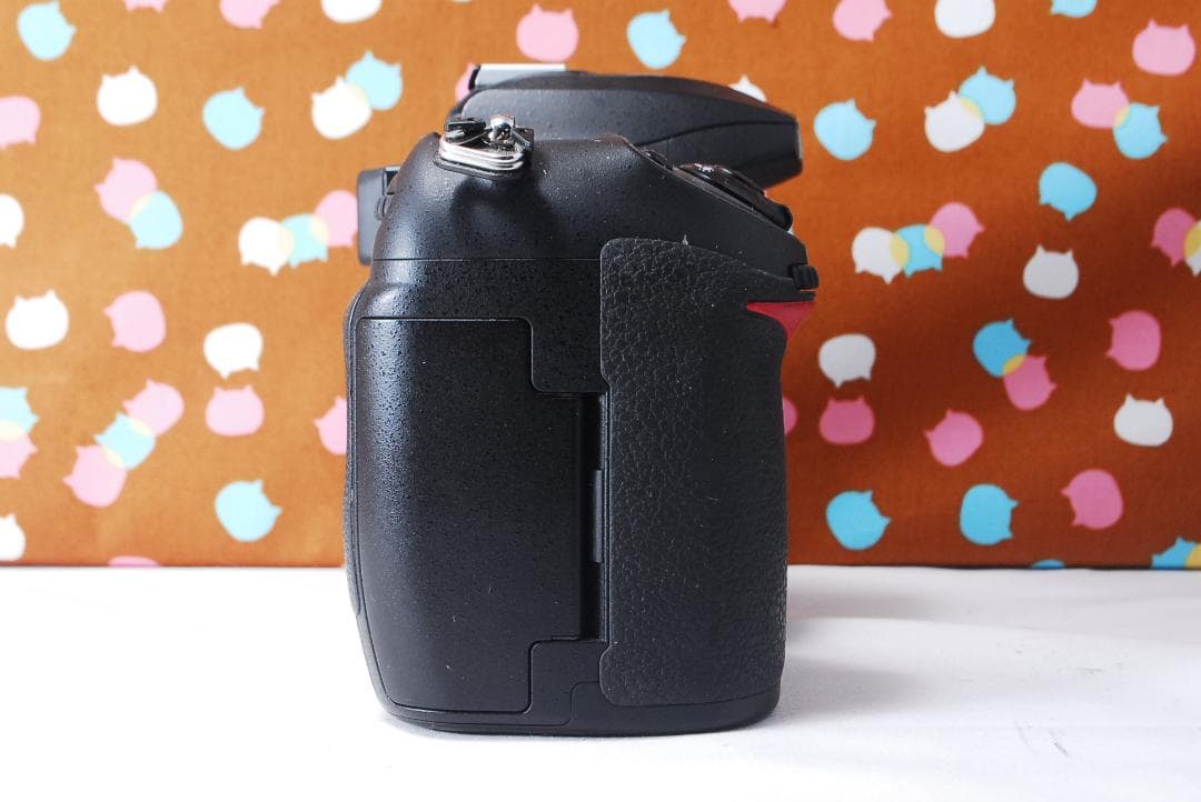 ✨望遠レンズ付き✨美品✨Nikon D200 レンズセット