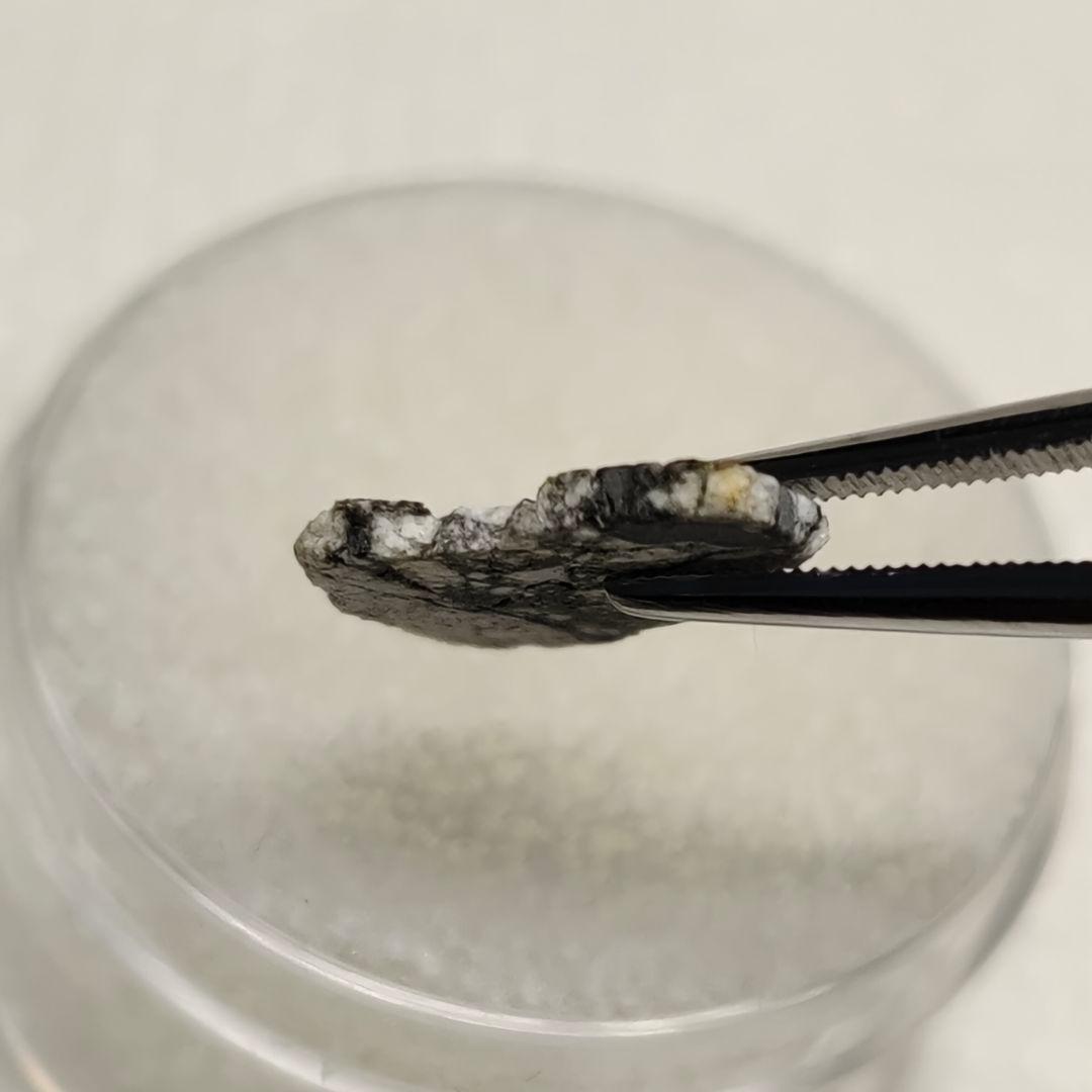 月隕石 NWA5000 320mg アダムホープ氏サインカード付き NO.399