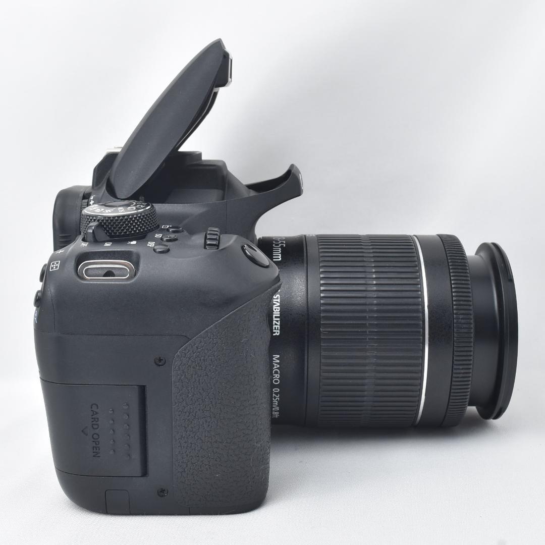 Canon キャノン EOS Kiss X9i レンズセット