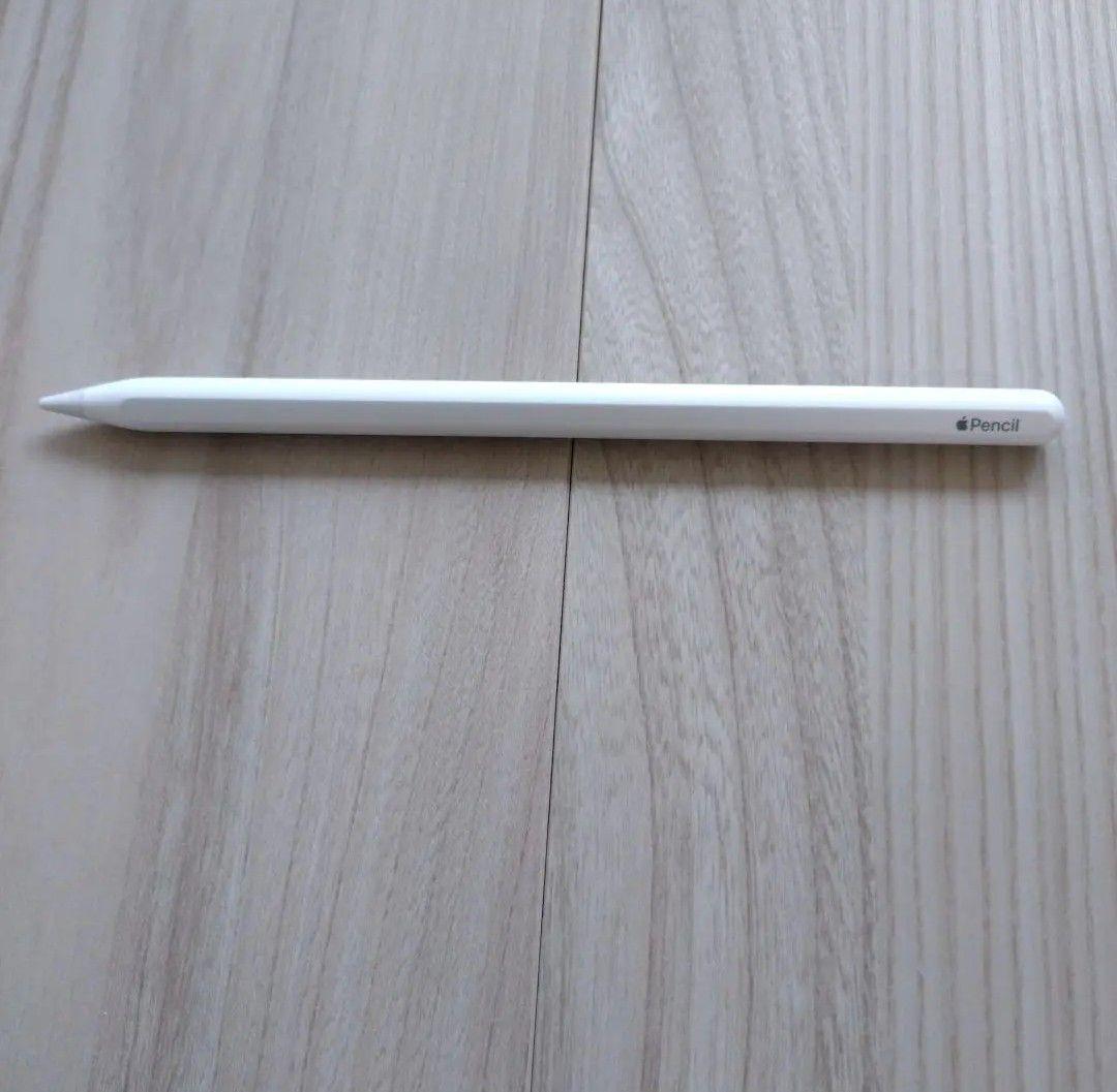 ［パクチー大佐］ipad air + applepencil