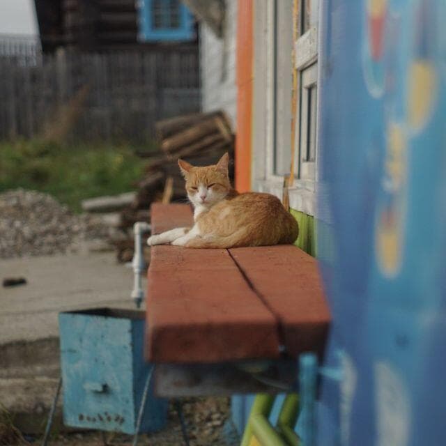 25 美品【Red　P】希少　ジュピター 8 1959年製造　2/50 L39