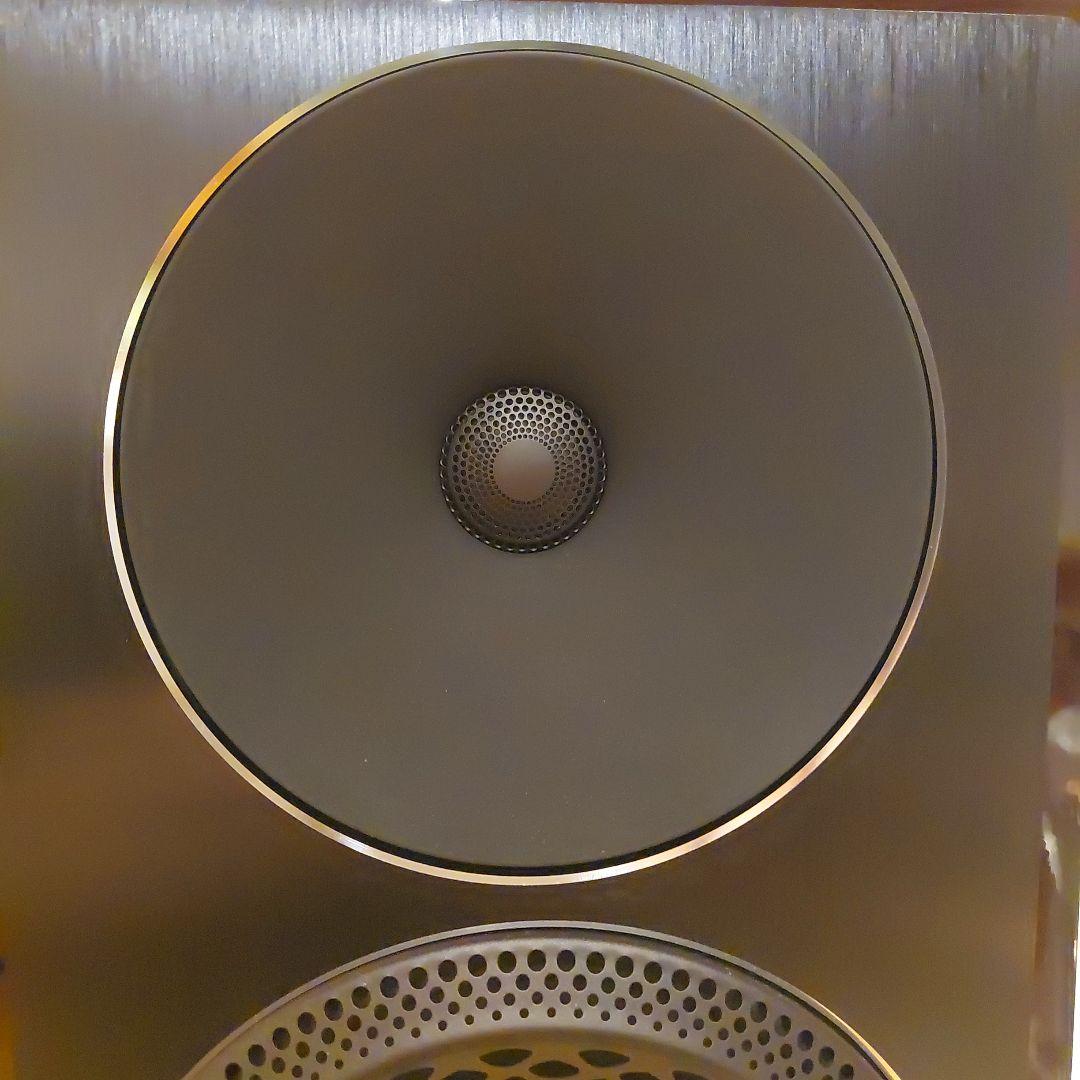 ⭐美品　Paradigm Founder 40B 使用わずか❗⭐