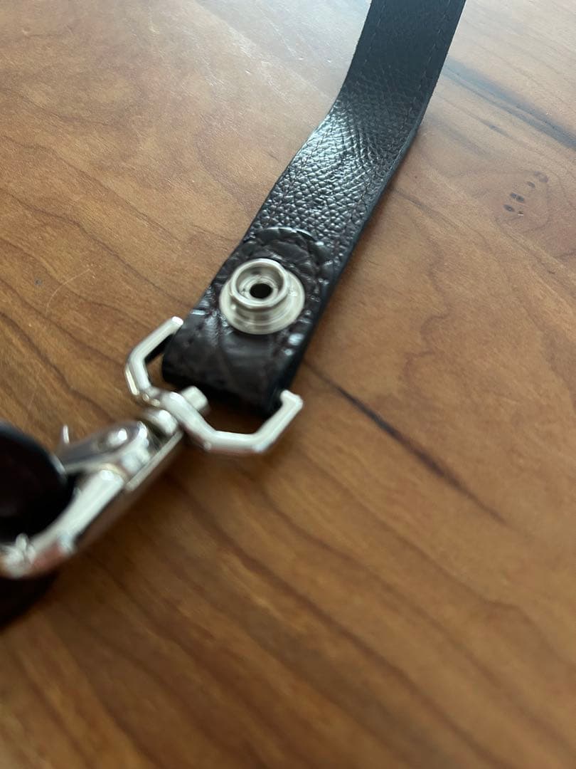 【最終値下げ】【美品】ワイルドスワンズ　ブランチ　キーホルダー