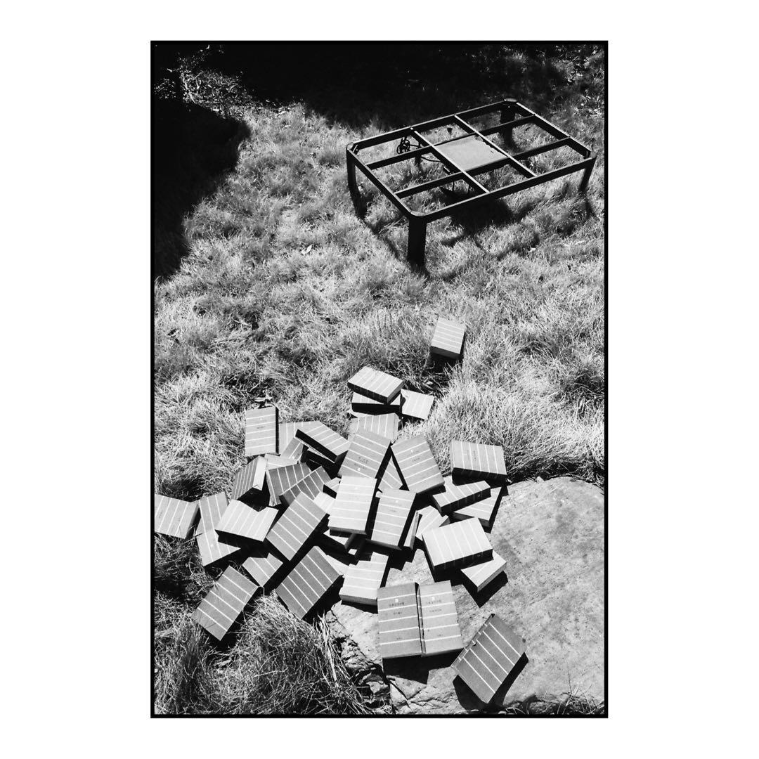 【作例あり】CONTAX T2(データバック付)