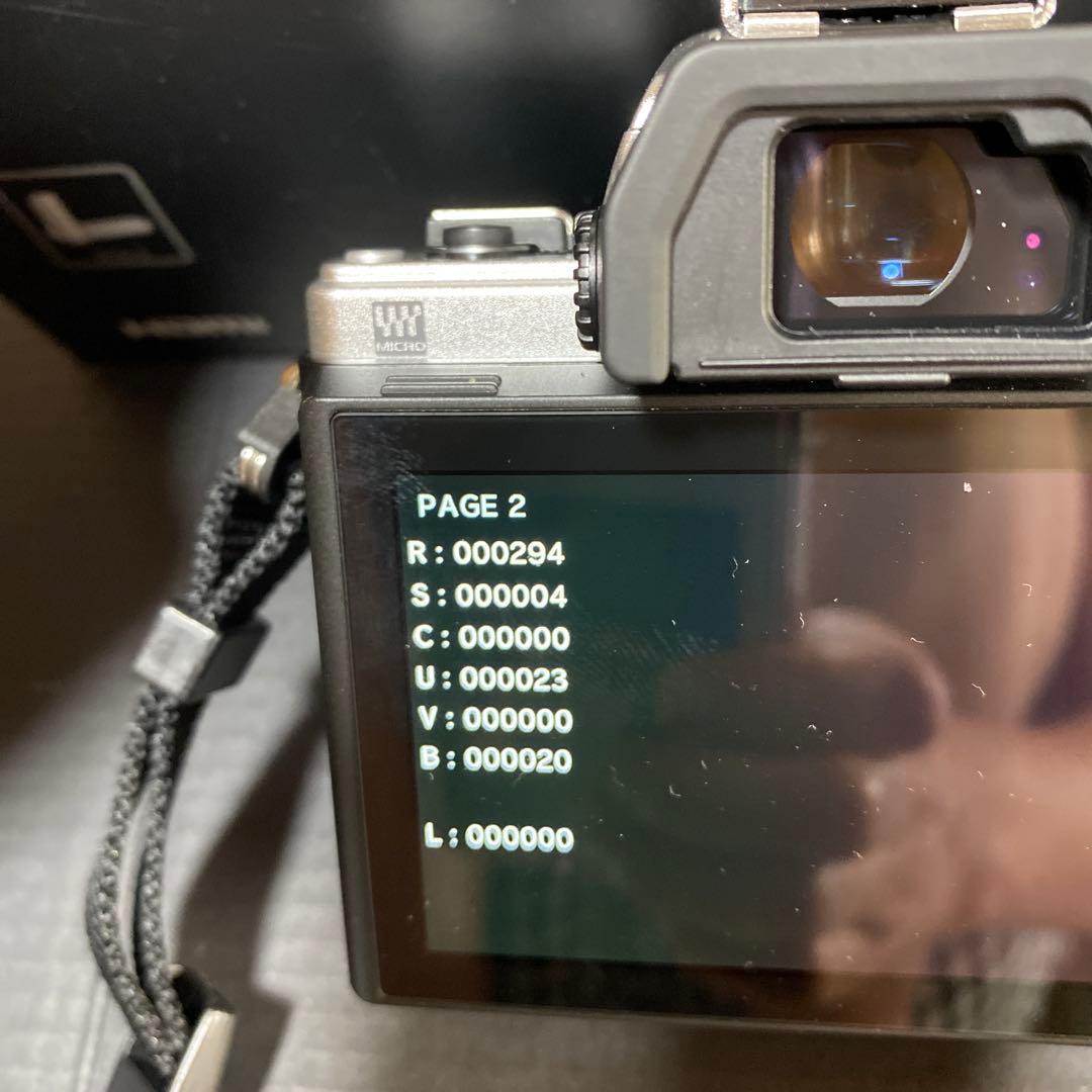 美品　OLYMPUS OM-D E-M10 MarkⅡ シルバー