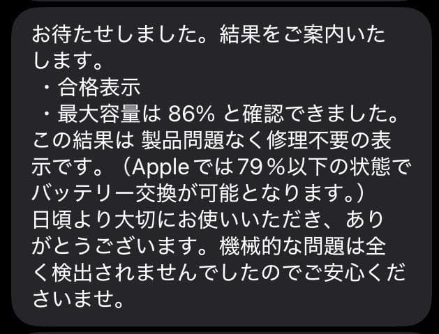iPad mini5 Wi-Fi+Cellular 256GB 大容量 セルラー