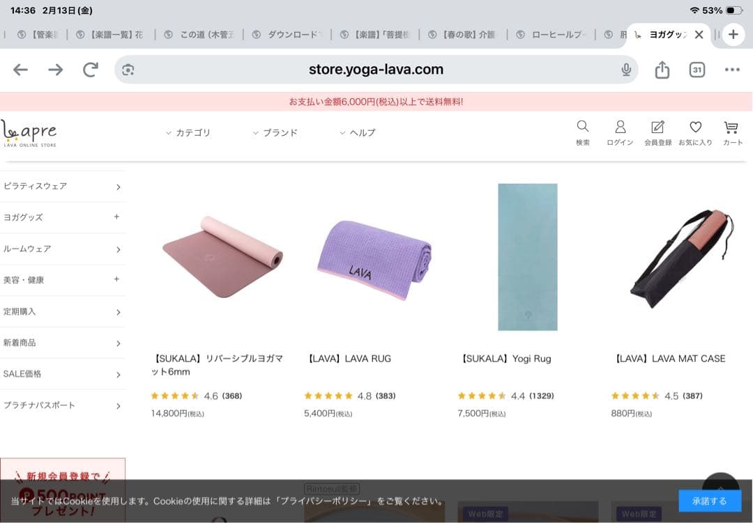 SUKALA リバーシブルヨガマット アクア、ケース、ヨギラグ