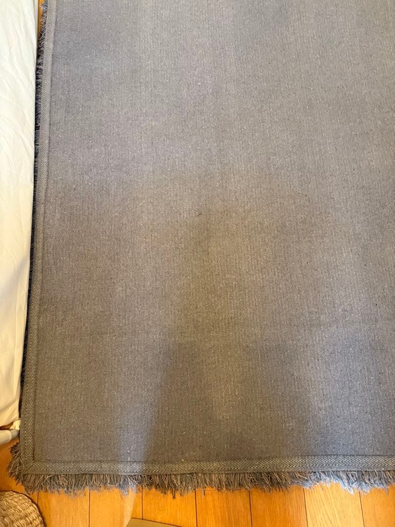 ACTUS アクタス ラグ 1700 × 2400